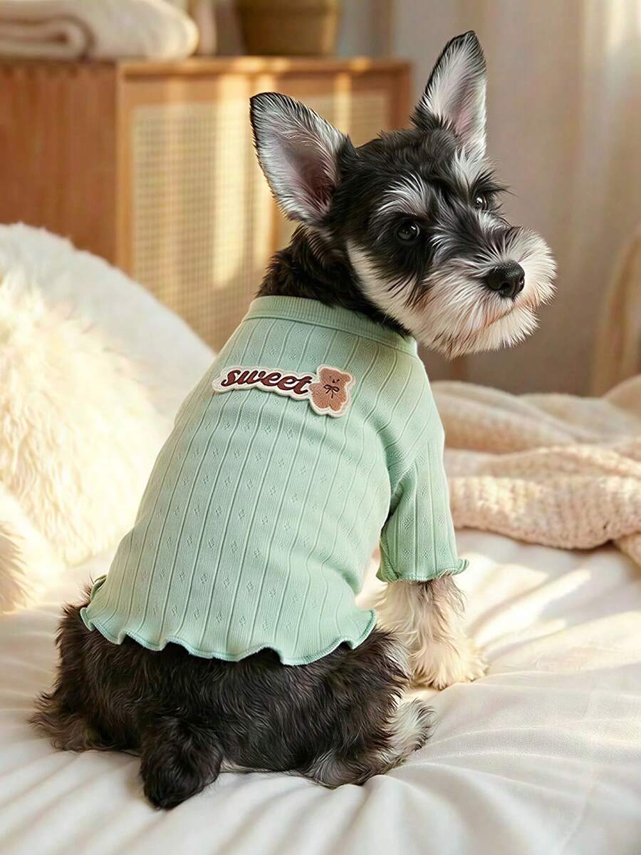 PETCIRCLE 1 pièce Vêtements pour animaux de compagnie, tenue d'extérieur et d'intérieur, style européen et coréen pour caniche, nounours, petit chien et chiot, pull tricoté décontracté et confortable - vert - Vert - Voir 1
