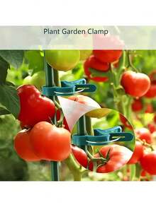 20个可调节植物夹 - 可重复使用的花卉、藤蔓、蔬菜和番茄园艺支撑架 - 耐用塑料材质，必备园艺工具 - A - 查看 4