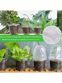 10pcs Transparent Plastic Plant Nursery Pots With Humidity Dome, 5/4/3.5 Inch Waterproof Indoor Gardening Flower Pots - One Size Fits All - View 7