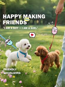 This Is A Two Pieces Set Of Hook And Loop Pet Leash Warning Tags For Cats And Dogs, Including Interactive Hook And Loop Dog/Cat Warning Labels. It Features Anti-Lost Social Reminders Such As "Do Not Touch," "Do Not Feed," "Do Not Take Photos," "Danger," "I Am A Boy," And "I Am A Girl," Making It Perfect For Pet Owners. - Multicolor - View 3
