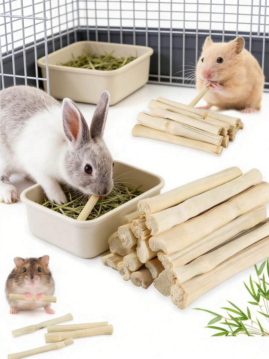 100克甜竹磨牙棒 | 小型动物磨牙零食和玩具，适用于兔子、龙猫、豚鼠、松鼠和仓鼠 - 查看 1
