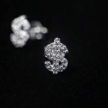 1 Đôi Khuyên Tai Chữ Cái Lấp Lánh Dành Cho Nam, Phong Cách Mỹ Cao Cấp, Hip Hop, Thời Trang Độc Đáo. - Bạc - Xem 4