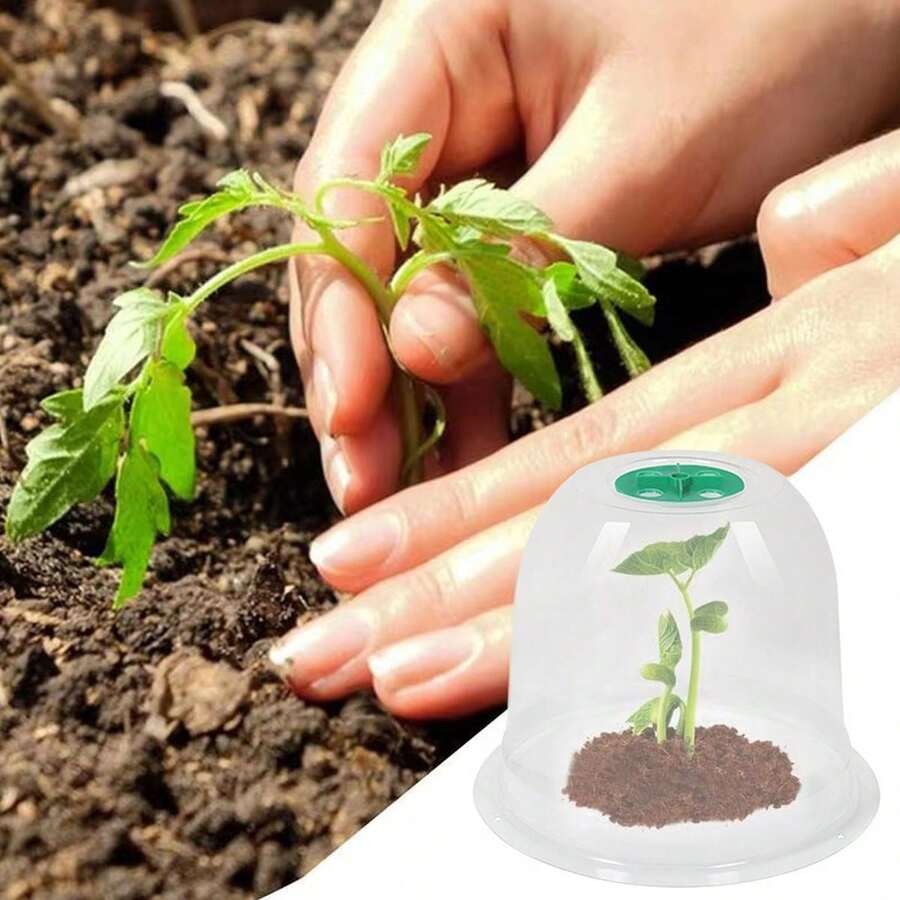 5件装园艺植物保温罩，迷你温室透气育苗罩，PET透明塑料育苗罩 - A - 查看 1