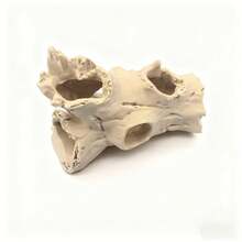1 pièce Abri pour petit animal en forme de souche d'arbre simulée, Cachette de lézard, Abri pour scorpion, Matériau en plastique robuste, Choix idéal pour les propriétaires de petits animaux - Multicolore - Voir 6