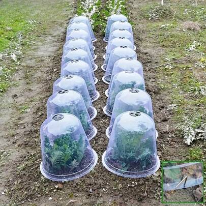 30pcs Transparent Plant Warm Cover - Insulation & Moisture Retention Seedling Protector, Reusable Plastic Garden Cloche, Suitable For Vegetables, Flowers And Seedlings - Fit For Indoor/Outdoor Gardening, Seedling Protection, Durable Plastic