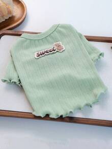 PETCIRCLE 1 pièce Vêtements pour animaux de compagnie, tenue d'extérieur et d'intérieur, style européen et coréen pour caniche, nounours, petit chien et chiot, pull tricoté décontracté et confortable - vert - Vert - Voir 10