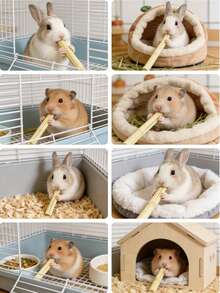 100克甜竹磨牙棒 | 小型动物磨牙零食和玩具，适用于兔子、龙猫、豚鼠、松鼠和仓鼠 - 查看 4