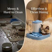 Máy cho ăn và uống tự động 2 trong 1 cho thú cưng, dung tích lớn, tự động nạp nước không bị tắc nghẽn, bát sứ ngăn ngừa mụn ở cằm, thiết kế chống tràn tiện dụng, tách riêng thức ăn khô và ướt, phù hợp cho mèo và chó. - 500ml - Xem 1