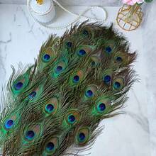 12pc Peacock Feather  In Bulk 10-12 Inch 2-30cm For  Vae  He Party Chritma Day Decoran Peacock Feather - Green - View 4