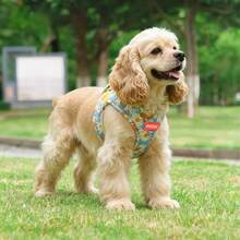 2pcs Reflective Dog Harness And 1.5m Leash Set, Breathable Pet Chest Strap Harness Suitable For Small, Medium And Large Dogs, Puppy Chest Strap And Leash Accessory Set - Blue - View 10