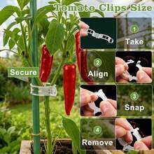 1/50pcs Plastic Vine Plant Support Clips, Suitable For Tomatoes And Other Climbing Plants, Reusable Clips Allow Tomato Vines And Vegetable Plants To Grow Upright, Promoting Healthy Plant Growth - Multicolor - View 5