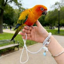 Adjustable Parrot Leash With Foot Ring, 70cm/140cm Anti-Escape Bird Harness Chest Strap, Lightweight Outdoor Flight Training Rope Suitable For Parrots, Cockatoos, Parakeets, Lovebirds, Small Pet Birds - View 2