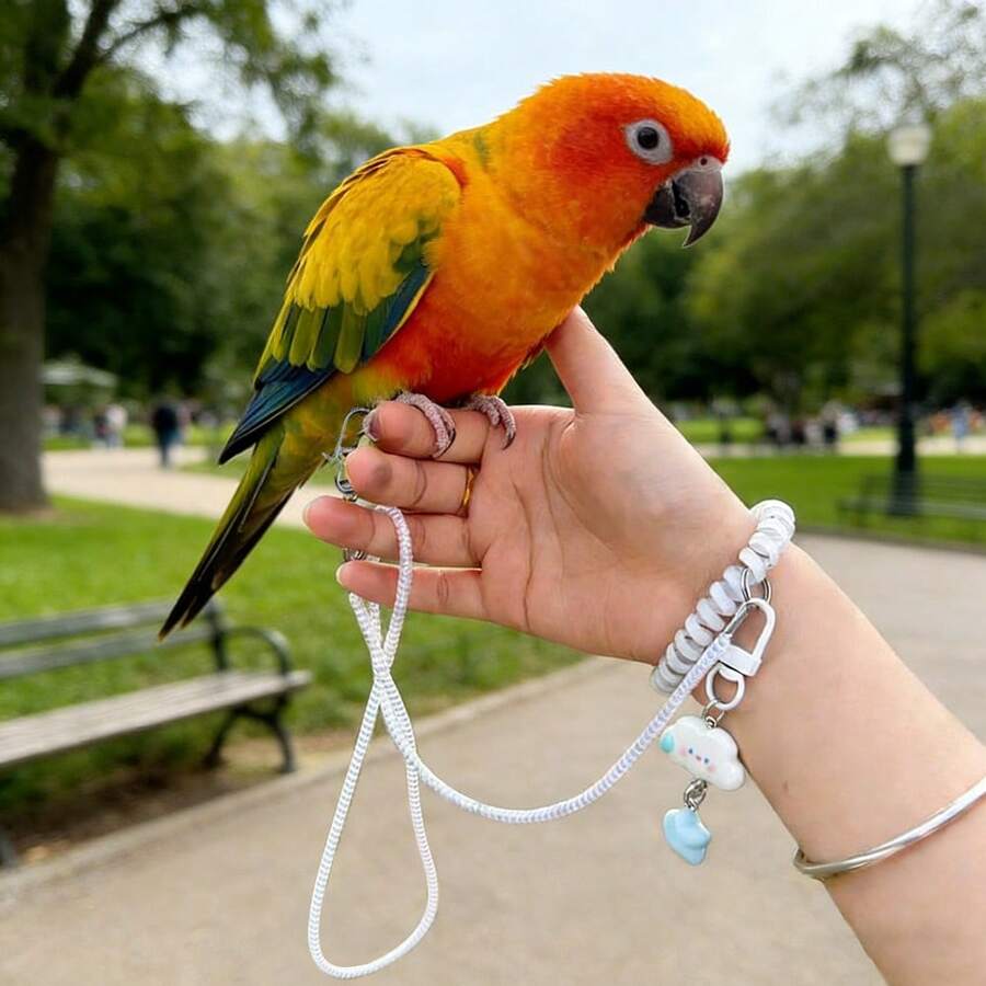 Adjustable Parrot Leash With Foot Ring, 70cm/140cm Anti-Escape Bird Harness Chest Strap, Lightweight Outdoor Flight Training Rope Suitable For Parrots, Cockatoos, Parakeets, Lovebirds, Small Pet Birds