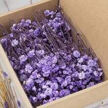 HOSY 50/100 pièces Fleurs de marguerite blanches artificielles pures - Délicates, faciles DIY, conviennent pour les mariages, la décoration de la maison et du bureau, les fêtes et les jardins - Couronne de style bohème pour table, sans plumes, sans électricité nécessaire, convient pour la décoration de Noël, d'Action de grâce et d'Halloween, cadeau de Noël et décoration de Noël pour la maison - Multicolore - Voir 16