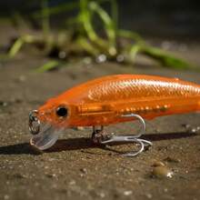 Fishing Lures - 顏色 - 熱 - 查看 6