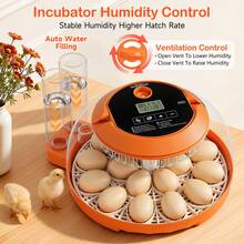 18 Egg Incubator , 360° All-Direction Automatic Egg Turner With LED Candler, Temperature & Humidity Control, 360° View Clear Window, Auto Water Refill, Poultry Eggs Incubators For Hatching Chicks Ducks Goose Quail - 美規A型插(110-127V) - 查看 3