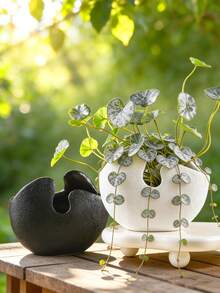 Textured Resin Vase And Flower Pot, This Artistic Irregularly Shaped Resin Flower Pot Is Perfect For Displaying Small Plants Or Stems On Coffee Tables, Office Desks Or Windowsills. Ideal For Adding A Minimalist Natural Touch To Modern Living Spaces And Offices. - Multicolor - View 3