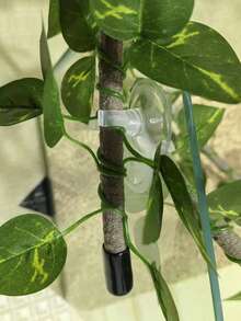 一套柔韧的爬行动物藤蔓，丛林攀爬栖息地装饰，可弯曲的宠物攀爬藤蔓，非常适合小型蛇类、变色龙、蜥蜴和壁虎 - 查看 7