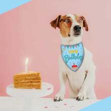 Pañuelo de feliz cumpleaños para perro, lavable, pañuelo triangular, ajustable, estampado de doble cara, rosa, globos de pastel (grande) - Azul, estrellas de globos para tartas - Ver 8