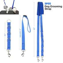 Pet Grooming Three Pieces Set: Dog Leash, Dog Chain, Dog Bathing Supplies, Grooming Rope. - Purple - View 4