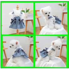 1 chiếc váy cho thú cưng, váy kiểu đi biển dễ thương cho chó nhỏ và chó con, Chihuahua. - Xanh và trắng - Xem 6