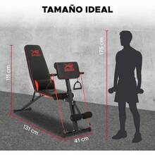 XR Banco de Pesas, Banco de Ejercicio Fitness Multiposición con 2 Ligas Incluidas, Banco de Entrenamiento Soporta 350 Kg, 8 Niveles de Inclinación con Cojín Lumbar, Banco Gym Plegable - 1 - Ver 8