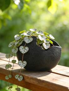 1件現代極簡粗紋理樹脂花盆 創意蛋殼造型水培金錢草植栽盆 適合居家與辦公室小空間桌面綠植裝飾 客廳臥室書房居家裝飾 婚禮派對 - 多色 - 查看 5