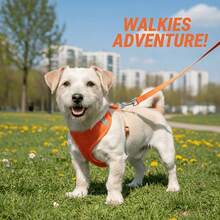 Cat & Dog Harness Leash Set, Designed To Prevent Escape, Comes With Reflective Soft Mesh Vest, For Taking Small Cats & Puppies For Walks, Suitable For Small Dogs & Puppies, Made Of All-Weather Breathable Mesh Material, Easy To Control, No Battery Required. - Orange - View 12