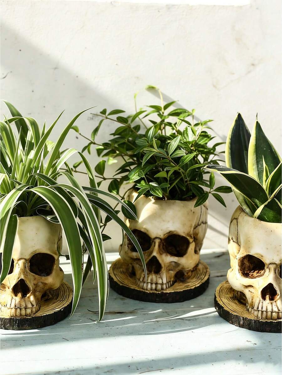 Chậu trồng cây hình đầu lâu Gothic bằng nhựa polyresin chống thấm nước - Trang trí đa năng trong nhà/ngoài trời, thích hợp trồng cây, hoa và đựng kẹo, tuyệt vời cho lễ hội Halloween và Ngày của người chết, trang trí sân vườn ngoài trời, dụng cụ làm vườn, đồ dùng làm vườn, đồ dùng cần thiết cho ngày lễ, đồ nội thất sân vườn, trang trí sân vườn. - Nhiều màu - Xem 1