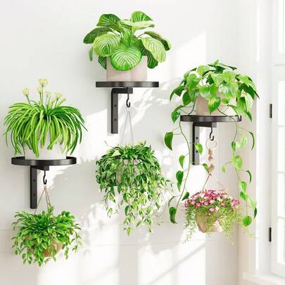Giá để hoa tròn treo tường, giá để cây treo tường, giá trang trí ban công, thích hợp để treo cây mọng nước và dây leo, phù hợp cho phòng ăn, phòng khách, sử dụng trong nhà và ngoài trời.