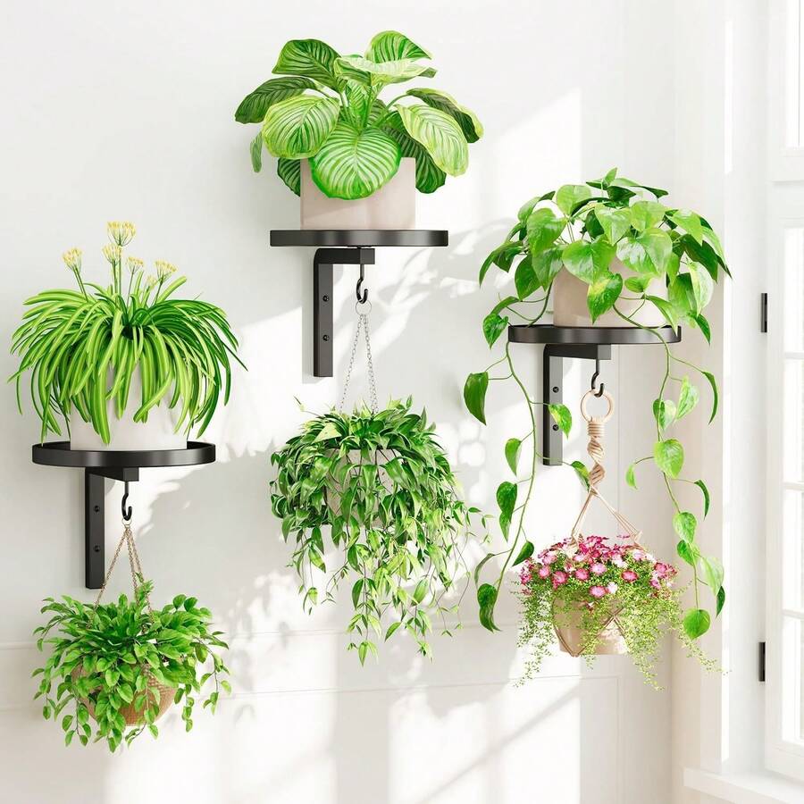 Round Wall-Mounted Flower Rack, Wall-Mounted Plant Rack, Balcony Wall Decor Flower Rack, Suitable For Hanging Succulent And Ivy, Applicable For Dining Room, Living Room, Indoor And Outdoor Use - Multicolor - View 1