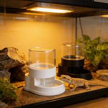 Máy cấp nước tự động cho bò sát với khả năng xoay 6 hướng, bát nước ổn định và chống rò rỉ, được thiết kế đặc biệt cho rồng râu, tắc kè, kỳ nhông và các loài bò sát và lưỡng cư nhỏ khác. - Bát nước - Xem 5