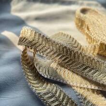 1.5 Yard Colorful Mesh Gold Thread Lace - Gold Embroidered, Suitable For Sewing, Knitting And Handicraft Projects - Gold - View 6