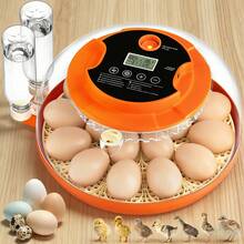 18 Egg Incubator , 360° All-Direction Automatic Egg Turner With LED Candler, Temperature & Humidity Control, 360° View Clear Window, Auto Water Refill, Poultry Eggs Incubators For Hatching Chicks Ducks Goose Quail - 美規A型插(110-127V) - 查看 4