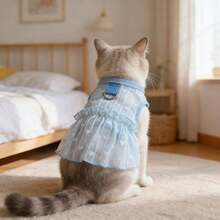 1件宠物（狗或猫）镂空心形荷叶边轻盈透气防晒服，柔软轻便，适合贵宾犬等宠物。 - 彩色 - 查看 9