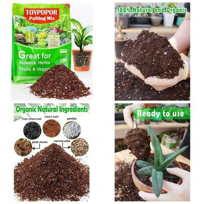 Well-Draining Potting Soil Mix For Indoor Houseplants With Perlite, Peat Moss, Coco Coir & Rice Charcoal, Light Aerated Texture For Healthy Roots And Fast Growth, 1 Quart