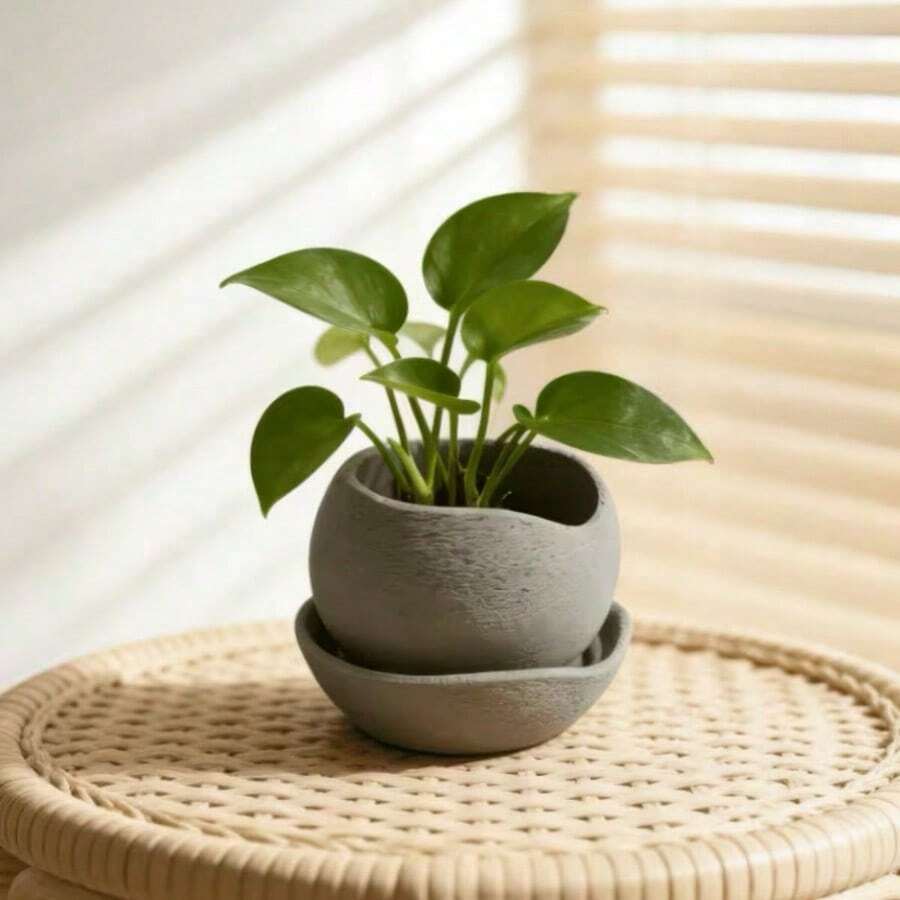 1 chậu trồng cây màu xám, thiết kế bất đối xứng, có đế, phong cách nghệ thuật hiện đại, thích hợp để trưng bày cây cảnh và trồng cây mọng nước. - A - Xem 1