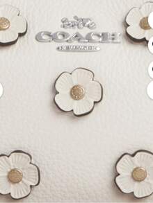 Coach Women's Teri Mini Crossbody Bag - 象牙色 - 查看 5