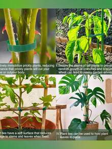 100pcs/10pcs Bridas Ajustables Antideslizantes para Plantas, Bridas Multifuncionales, Bridas para Cables, Cierres de Gancho y Bucle, Bridas para Coronas Navideñas, Correas de Gancho y Bucle, Adecuadas para Plantas Trepadoras, Soporte y Aplicaciones de Jardinería, Herramientas de Mantenimiento de Jardinería - Verde - Ver 3