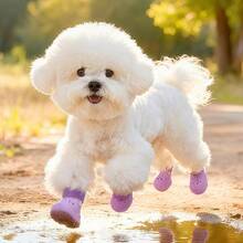New Summer EVA Material Dog Shoes, Lightweight And Durable Pet Supplies, Dog Shoes, Clogs - Dép bít mũi cho thú cưng dùng được cả bốn mùa - Màu hồng [Bộ 4 đôi] - Xem 6