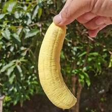 1個香蕉果肉慢回彈壓力紓壓捏捏玩具,熱門柔軟毛茸茸便攜式捏捏玩具,適合教室房間裝飾,可愛返校禮物,適合 ASMR 和 ADHD 捏捏玩具愛好者 - 彩色 - 查看 5