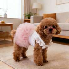 宠物狗衣服，猫咪仙女短袖蓬蓬公主裙，适合小型犬，如贵宾犬、泰迪犬、雪纳瑞犬、比熊犬、马尔济斯犬、约克夏梗犬等。生日派对服装，春夏款。 - 白色 - 查看 15