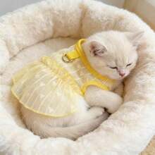 1件宠物（狗或猫）镂空心形荷叶边轻盈透气防晒服，柔软轻便，适合贵宾犬等宠物。 - 彩色 - 查看 6