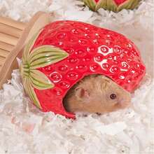 Cute Ceramic Hamster House, Small Animal Cooling Hideout For Hamster, Gerbil, Guinea Pig, Dwarf Hamster, Cute Fruit/Vegetable Design Pet Cage Accessory Hamster House Ceramic Hamster Hideout Small Animal Cooling House - quả dâu - Xem 11