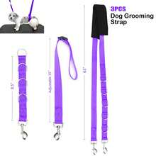 Pet Grooming Three Pieces Set: Dog Leash, Dog Chain, Dog Bathing Supplies, Grooming Rope. - Purple - View 5