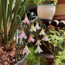 10pcs Artificial Lily Of The Valley Gardening Decor Set, Mini Garden Stump Set, Outdoor Potted Plants And Decor Landscape, Succulent Bonsai Decor And Mini Bonsai Model, Yard, Garden, Planter Decor, Includes 10 Lily Of The Valley Pendants And 10 Support Rods - Multicolor - View 8