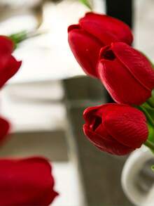 20 bông hoa tulip đỏ nhân tạo, bó hoa trang trí màu hồng ombre chân thực, thích hợp để trang trí nhà cửa, làm quà tặng ngày Valentine, khách sạn, tiệc tùng, đám cưới, trang trí bàn, đẹp nhưng không mùi. - Đỏ - Xem 5