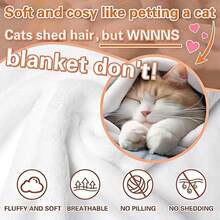 1PC Therian Delta Therian Symbol Flannel Throw Blanket 50"X60" (Multiple Sizes) - Vintage Collage Of Feline Animals, Mystical Botanical Elements & Pride Flag, Tapestry Wall Hanging, Alterhuman Identity Gift, Room Decor, Perfect For Sofa, Bed, Office -280gsm - multicolour 2 - 查看 10