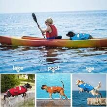 Chaleco salvavidas para perros grande/mediano/pequeño, chaleco de natación ajustable resistente al desgarro con asa de rescate, chaleco salvavidas de alta visibilidad y alta flotabilidad para nadar, navegar, playa, piscina y otras actividades acuáticas, diseño lindo de pez payaso - Azul - Ver 9