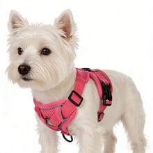 1 Set Arnés para gatos para caminar al aire libre, arnés suave para mascotas anti-escape, chaleco arnés ajustable para gatos y perros con tira reflectante, arnés transpirable para mascotas de fácil uso - Multicolor - Ver 5